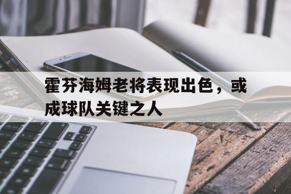 包含霍芬海姆老将表现出色，或成球队关键之人的词条